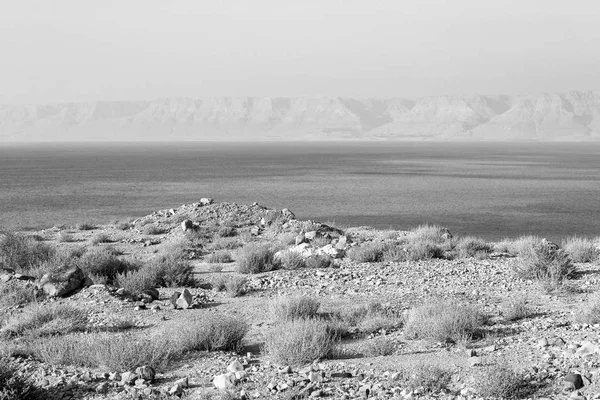死海和约旦山脉的看法 (单色) — 图库照片