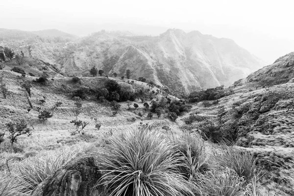 Vista en el Pico del Pequeño Adán y la Roca Ella, Ella, Sri Lanka —  Fotos de Stock