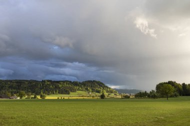 Tahıl alan ışımalar güneş ışığı altında ağır bir fırtına sonra