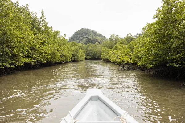 Crociera fluviale che mostra l'albero di mangrovie nel verde dell'acqua salata nel parco di Kilim — Foto Stock