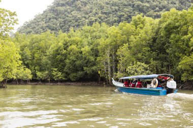 Langkawi, Malezya, 12 Aralık 2017: mangrov ağaç gösterilen nehir gezisi