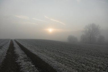 Sis ve Orta İsviçre güneşte bir soğuk kış sabahı tarım yol