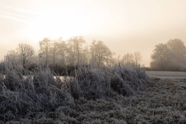 Ağaçları ile hoarfrost bir buz soğuk kış sabahı ve donmuş gölde ön planda Orta İsviçre