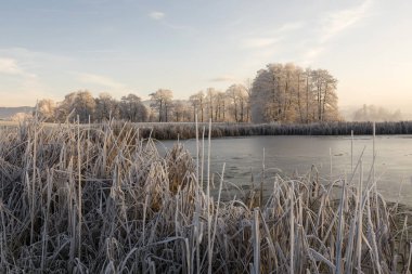 Ağaçları ile hoarfrost bir buz soğuk kış sabahı ve donmuş gölde ön planda Orta İsviçre