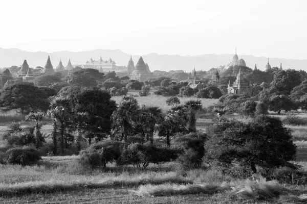 Antik Tapınağı Bagan gündoğumu, Myanmar sonra Arkeoloji parkında — Stok fotoğraf