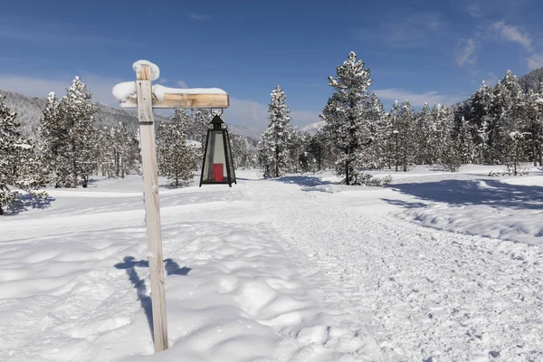 Un sentier de randonnée hivernal balisé par une lanterne traverse un paysage frais et enneigé en Suisse — Photo