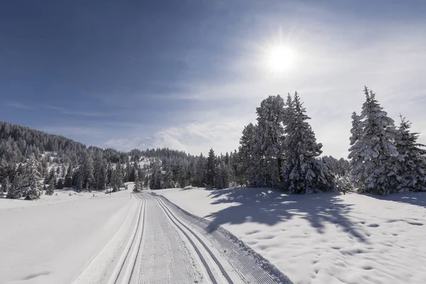 Траса для бігових лиж в красивому зимовий день в Швейцарії — стокове фото