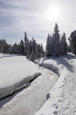 Kış yürüyüş yolu kış harikalar diyarı İsviçre donmuş bir dere boyunca