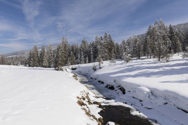 Karlı ağaçları ve bir dere ile İsviçre kış manzarası