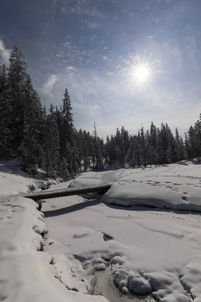 Brug over een bevroren kreek op een mooie winterdag in Zwitserland — Stockfoto