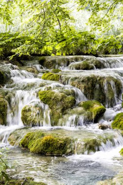 Hırvatistan'daki yaz aylarında güzel şelale Plitvice Gölleri Milli Parkı'nda