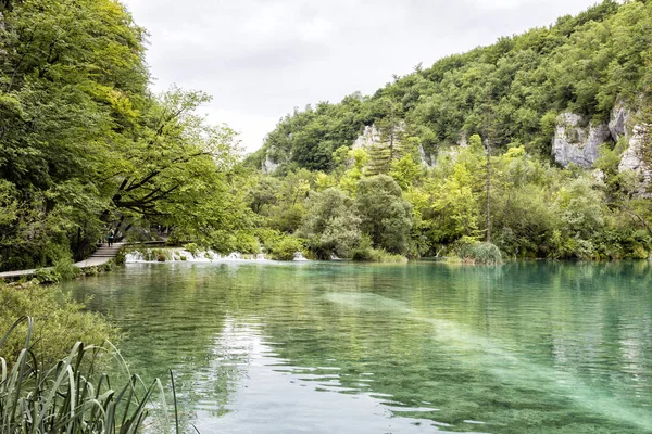 Turquoise lake in het Nationaal Park Plitvice Lakes in de zomer in Kroatië — Stockfoto