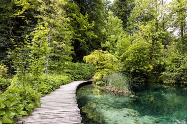 Ahşap iskele Plitvice Gölleri Milli Parkı'nda yaz aylarında Hırvatistan ile turkuaz renkli göl
