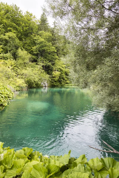 Turkusowe jezioro w Parku Narodowego Jezior Plitwickich w lecie w Chorwacji — Zdjęcie stockowe
