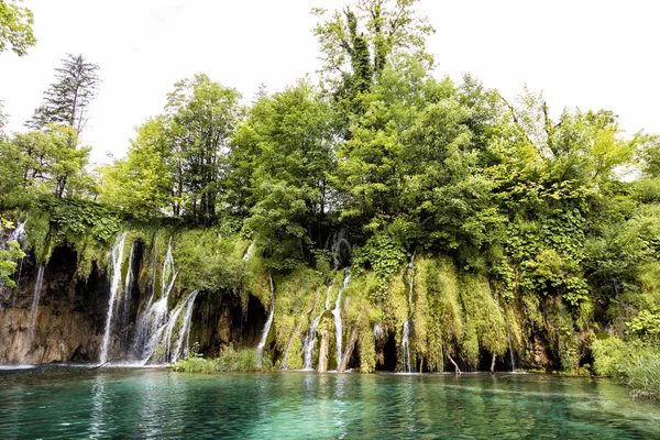 Paradise krajina s vodopády, tekoucí do rybníka v národním parku Plitvická jezera v létě v Chorvatsku — Stock fotografie