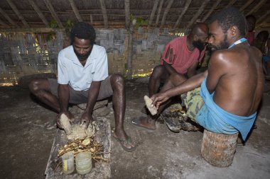 Pentecost, Vanuatu Cumhuriyeti, 21 Temmuz 2014: yerli erkekler geleneksel Kava törenle katılmak. İçki tüketimi karşılama şeklidir ve önemli sosyo-politik olaylarda rakamlar