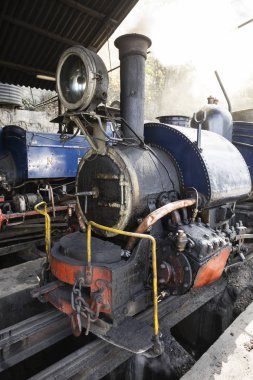Darjeeling, Hindistan, 3 Mart 2017: Buharlı lokomotif Darjeeling tren istasyonunda