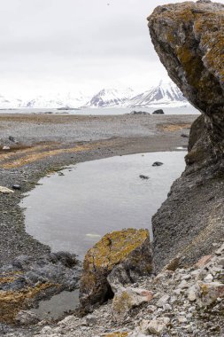 Bulutlu bir günde kıyı Spitsbergen, Norveç