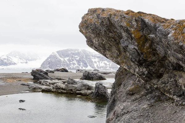 Ακτογραμμή σε μια νεφελώδης ημέρα Spitsbergen, Νορβηγία — Φωτογραφία Αρχείου