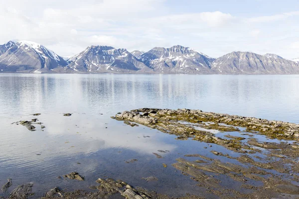Panorama de un fiordo con rocas en el agua en un día soleado en Spitsbergen, Noruega — Foto de Stock
