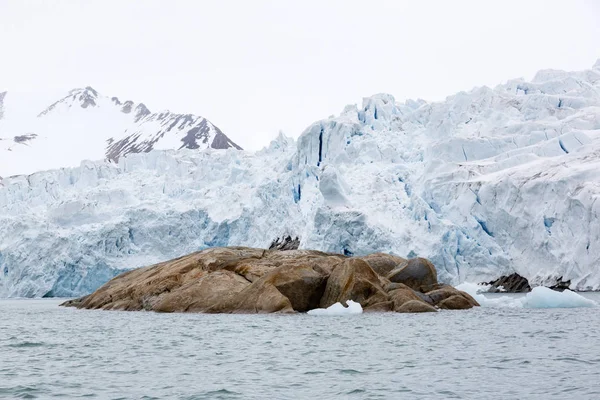Glaciar blanco-azul con roca marrón en primer plano desemboca en el mar en Spitzbergen, Noruega —  Fotos de Stock