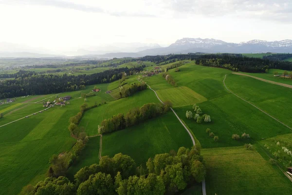 Hills landskap i centrala Schweiz på morgonen ljus med Pilatusberget i bakgrunden — Stockfoto