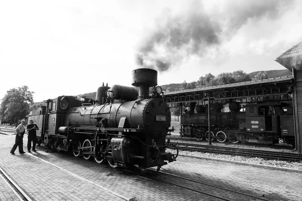 ヘリング Vitasi、セルビア、2017 年 7 月 17 日: 2 つの列車の牽引は旅のための蒸気機関車を準備します。ここから開始と呼ばれる「ヘリング ・ エイト」狭いゲージ遺産鉄道 Mokra 強羅へ. — ストック写真