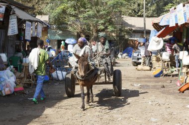 Bahir Dar, Etiyopya, Şubat 14 2015: eski bir çift bir pazar aracılığıyla eşek taşıma sürücüler