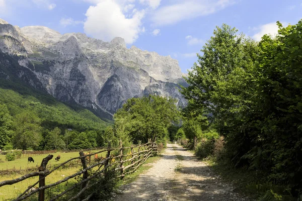 Долина Тет з ґрунтовою дорогою в динаричних Альпах в Албанії. — стокове фото