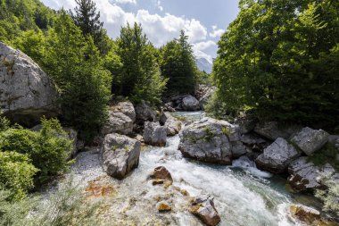 Arnavutluk 'un Dinarik Alpleri' ndeki güzel Valbona Vadisi 'ndeki Valbona Nehri