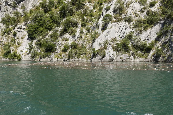 Zanieczyszczenie pustymi butelkami Pet nad jeziorem Komani w Albanii — Zdjęcie stockowe