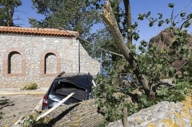 Sveti Naum, Kuzey Makedonya, 11 Temmuz 2019: Şiddetli bir fırtına sırasında, Kuzey Makedonya 'daki Ohri Gölü' nde park halindeki bir arabanın üzerine bir ağaç düştü