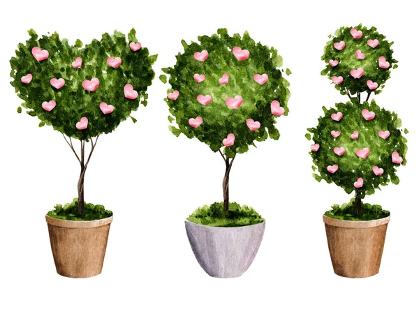 Aquarel set van potten bloemen. Lente illustratie van potten bloemen in de vorm van een hart en een bal voor Valentijnsdag. — Stockfoto