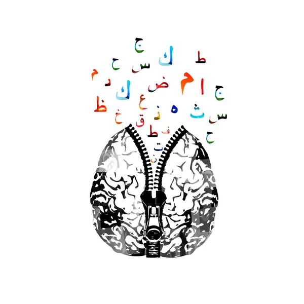 Cerebro Humano Con Cremallera Colorido Árabe Islámico Caligrafía Símbolos Vector — Vector de stock