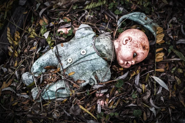 Terk edilmiş yaşlı, kırık bebek korkunç ormanda çürüyor.