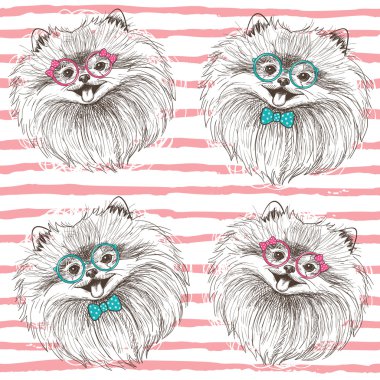 mutlu pomeranians erkek ve kız çocuk el çekilmiş