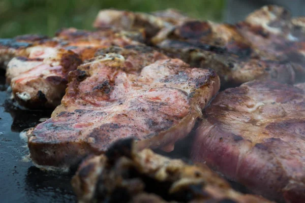 나무 난로에 고기를 굽고 — 스톡 사진