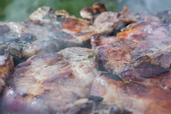 Grelhar carne no fogão a lenha — Fotografia de Stock