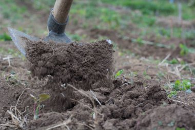 Bir bahçe alanı ve kir yolu ayıklayacaktır Bahçe Çapa