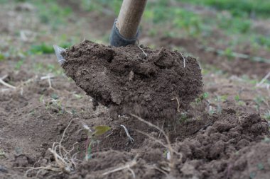 Bir bahçe alanı ve kir yolu ayıklayacaktır Bahçe Çapa