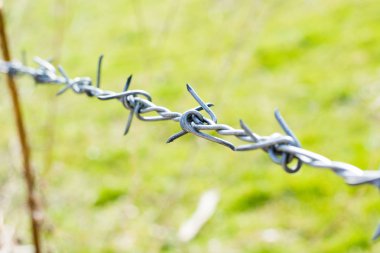 yakın çekim barbwire çit bina