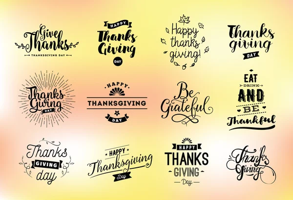 Thanksgiving day typografie instellen. — Stockvector