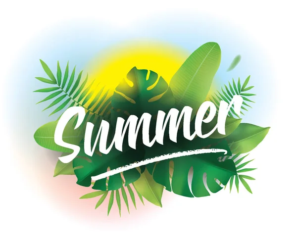 Summer time. Vector background for posters and banners. — Stock Vector