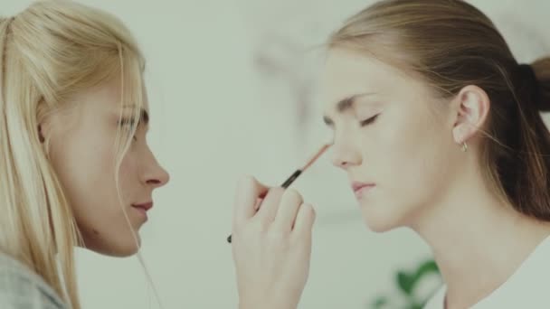Make-up arbete. Make-up artist och modell. — Stockvideo