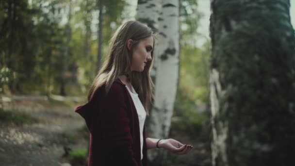 Flickan rymmer brödsmulor i handflatan och matar ankor vid sjön. — Stockvideo