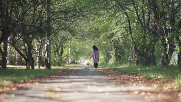 Menina nova em um casaco rosa com um passeio de cão pequeno engraçado no parque de outono . — Vídeo de Stock