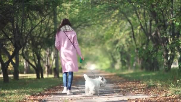 Mały cute puppy na smyczy. Dziewczynka w różowym płaszczu trzyma psa — Wideo stockowe