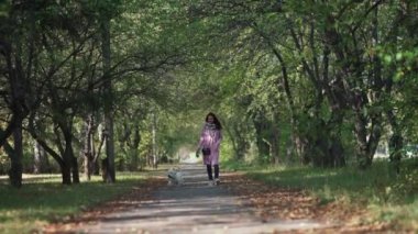 Komik ve sevimli evcil köpek. Evcil hayvan sahibi. Sonbahar parkında yürüyüş.