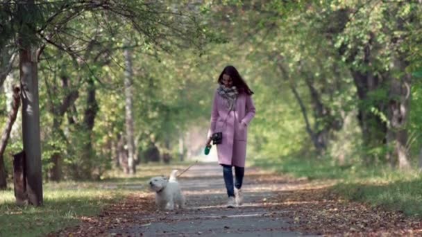 Het meisje met een kleine hond. Witte grappige puppy volgt de eigenaar. — Stockvideo