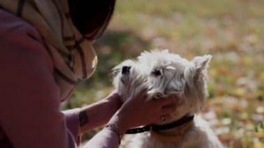 o genç kadın köpeklerin bayıltın çeker. Sevimli ve tatlı köpek yavrusu